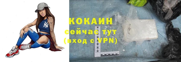 трава Гусев