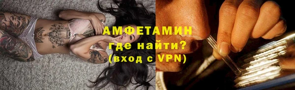 индика Дмитриев