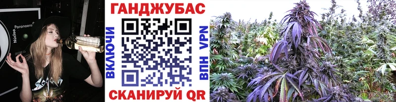 Каннабис гибрид  Красный Кут 